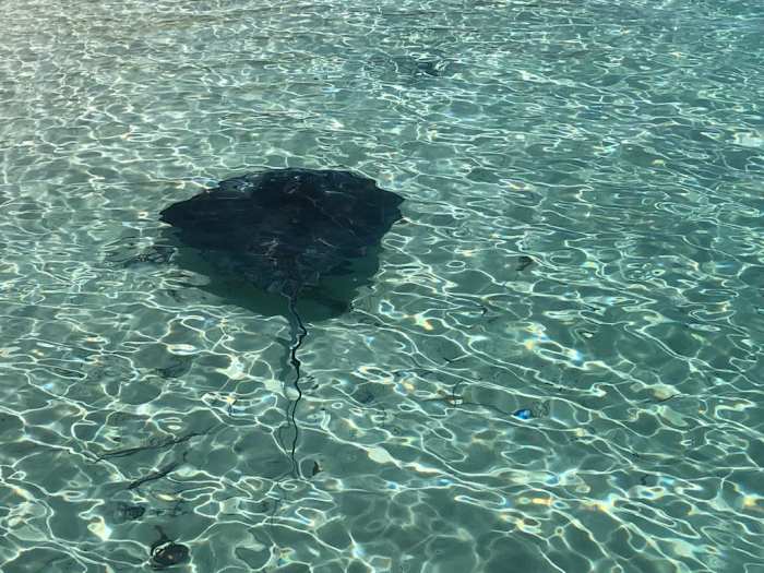 IMG-20190401-WA0025 - GALLERY.jpg